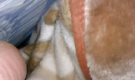 ضرطة افلام سكس مترجم بالعربية