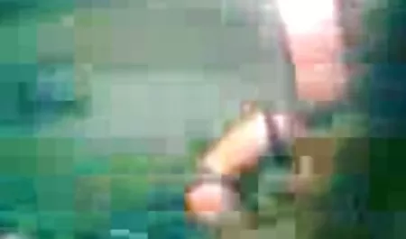 ليس على الأرض سكس عربي فيفي عبده ،