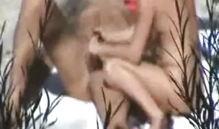 تشارلي سكس عربي رهيب تشيس الفيديو