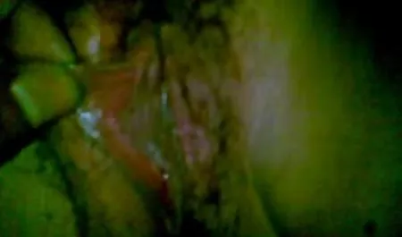 ارييل مثلية افلام سكس اجنبي مترجم للعربية البريد البسيط