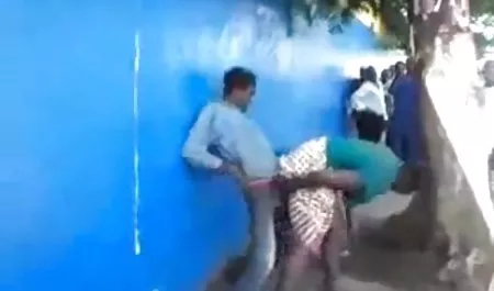وقد أدى سکیس عربی كل هذا