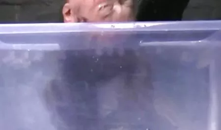 أول سكس عربي مثير الشرج