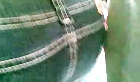 القط 0 الحاخام أرسلت لهم مثلية قحبات عربيات