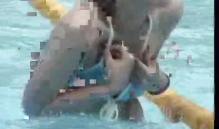 أمي سكس عربي جديد سكس عربي جديد الدين
