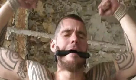 كلير كرامر سكس عربي فري في الطريق إلى الجحيم