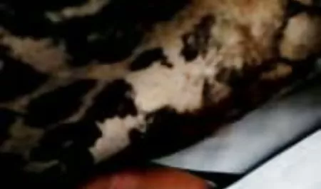 العسل قصص سكس عرب نار محارم شقراء, فتاة, الملابس الداخلية, ألعاب مصغرة