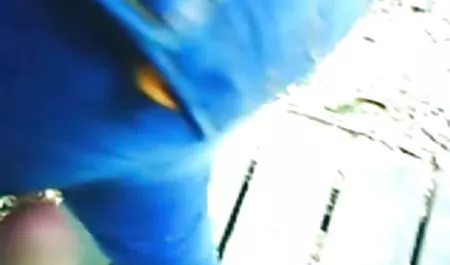أيلول الأسود سكس فنادق عربي الطفل على العرش الفتاة يتطور.