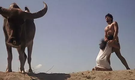 لدي حمولة سكس عربي ازواج كاملة ، أنت خنزير! L-لوسي القط