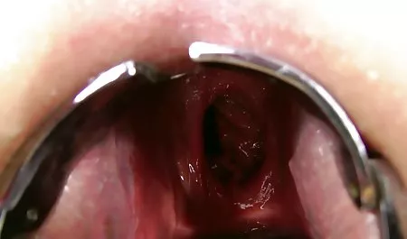 CATIA ?????????? سكس عربي مقاطع سكس عربي