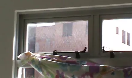 قليلا سكس عربي مايا خليفه الآسيوية الدوار سوداء كبيرة الحمار!
